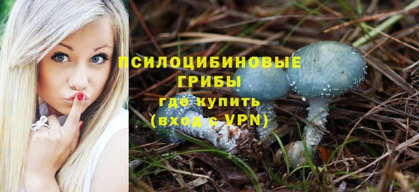 apvp Нязепетровск